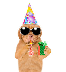 Poster - Mastiff puppy wearing sunglasses and party cap blows into party horn and holds gift box. isolated on white background