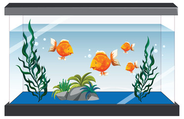 Sticker - Aquarium tank with gold fishes on white background