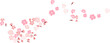 © Umaporn - Cherry blossom vector illustration on white isolated.Peach blossom for doodle art on background.Sakura vector for tattoo design.Symbol flower of Japanese.Plum blossom vecor collection.beautiful floral
