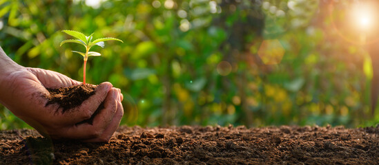 Earth Day concept. Hand planting trees with environmental . Global warming. Sustainable development. solar power and green business, renewable energy, Sustainable environment and business.