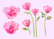 Rose glass flower element set