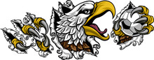 A Bald Eagle Or Hawk With Claw Talons Holding A Soccer Football Ball And Ripping Or Tearing Through The Background. Sports Mascot