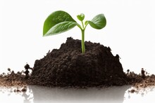 Young Green Plant Sprouting Against A White Background; Soil Pile May Be Brown, Black, Or Enriched With Fertilizers. Generative AI