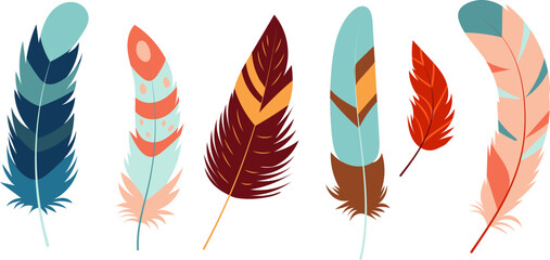 Poster - bird feathers in flat style isolated, vector