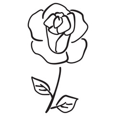 Wall Mural - Rose flower icon, Vector hand drawn doodle illustration. 