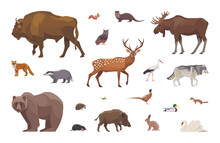 Flat Set Of European Animals. Isolated Animals On White Background. Vector Illustration