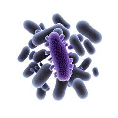 pseudomonas aeruginosa bacteria rod-shaped purple bacteria. Pathogenic microflora biologically isolated on white background, clipping path. 3D Transparent png. Generative ai