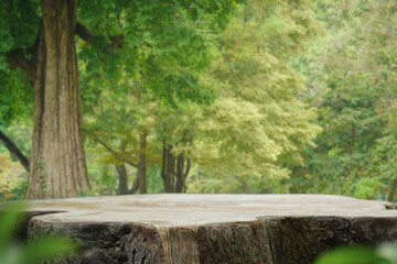 wood podium tabletop floor in outdoors fresh green leaf tropical forest nature landscape background.