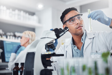 Poster - Black man, scientist and lab with test tube research, microscope and focus for agriculture study with plant. Science team, glass vial and plants for medicine, pharma and stop virus, bacteria or germs