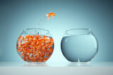 Fototapeta  - I'm not like others - be different concept - goldfish jumping in a bigger fish bowl.