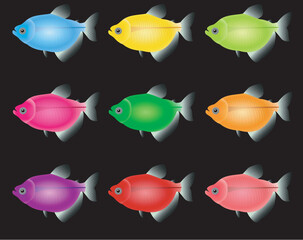 Wall Mural - Isolated river fish. Set of freshwater aquarium cartoon fishes. varieties of ornamental popular color fish. Flat design fish. Vector illustration