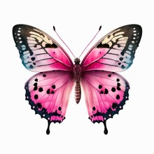 Beautiful Pink Butterfly, Top View. Watercolor Illustration Of A Pink Butterfly Isolated On White Background. Generative AI Art.