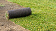 Roll of new turf beeing rolled out in the garden in spring time - rolled grass fresh from field
