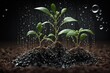 Water Drops on a Soil With Saplings Growing Saplings on a Soil With a Natural Green Background. Generative AI