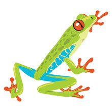 Green And Blue Frog Amphibian