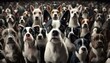 lots of dogs, group of canines, many furry friends, groups of dogs, bunch of dogs, Large group of dogs looking at the camera, GENERATIVE AI