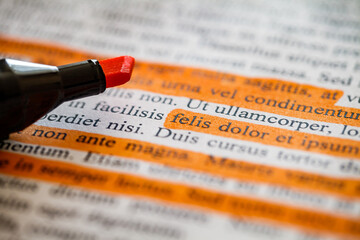 Poster - Lorem Ipsum text strings of words some lines are highlighted with orange marker stripes, side view, selective focus, document preparation