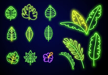Palm Leaves. Glowing Sign Of Coconut Palm Exotic Leaves. Neon Tropical Palms