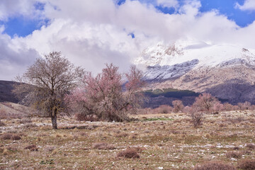 Sirente Velino Natural Regional Park in Abruzzo, Italy	