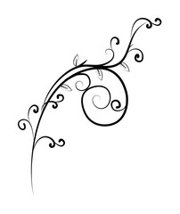 Poster - decorative flowers, hand draw
