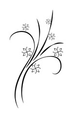 Poster - decorative flowers, hand draw