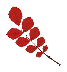 Poster - autumn red color leaf illustration design art