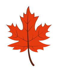 Poster - autumn red color leaf illustration design art