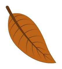 Poster - autumn brown color leaf illustration design art