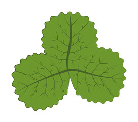 Poster - autumn green color leaf illustration design art