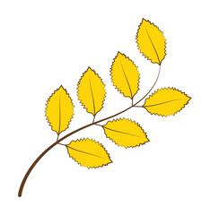 Wall Mural - autumn yellow color leaf illustration design art