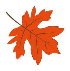 Poster - autumn orange color leaf illustration design art