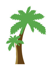 Poster - palm colored icon illustration design art