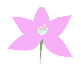 Sticker - orchid colored icon illustration design art