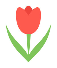 Poster - tulip colored icon illustration design art