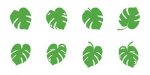 Monstera Vector Leaf Icon, Tropical Leaf On White Background