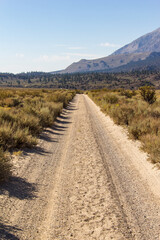 Wall Mural - Lakes, streams, forests, wildflowers, fields, and other wilderness seen throughout the eastern sierra mountains in California. Pictures taken hiking in Mammoth, Bishop, and lone pine, California.