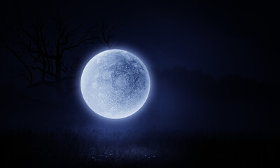 Wall Mural - spooky night image . mixed media