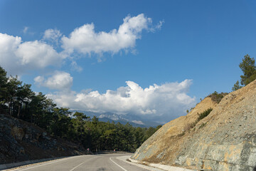 Empty road by the forest and mountain in the distance