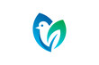 Bird and Leaf Logo