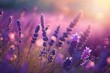 © Ultra Png - Lavender Flower Field with Blurred Background. Generative ai.