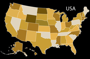 USA map with states vector illustration