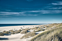 White Beach In Denmark. High Quality Photo