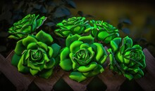  A Group Of Green Flowers Sitting On Top Of A Wooden Fence Next To A Green Plant Potted In A Wooden Planter Box On A Black Background.  Generative Ai