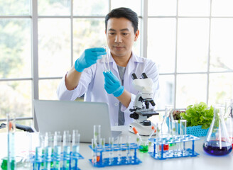 Wall Mural - Asian professional male scientist researcher in white lab coat and rubber gloves sitting holding dropper dropping red reagent into sprout seedling vegetable sample in test tube on laboratory table