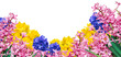 wiosenne kwiaty na przezroczystym tle, png