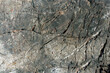 © Cavan Images - Rock or Stone  surface as  background texture