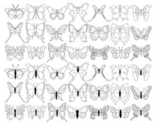 Big Set Butterflies On A White Background, Drawing Decorative Insect, Silhouettes Hand Draw, Isolated Vector