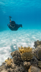 Wall Mural - young man freediving in the great barrier reef