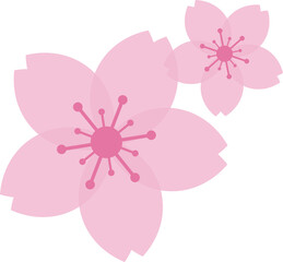 Sticker - Beautiful pink Sakura Cherry Blossom illustration.