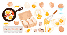 Cartoon Whole Fresh Or Boiled Egg In Shell Or Peeled, Cut In Half And Quarter, Fried With Yolk Flowing Out And Whipped With Whisk, Farm Product In Box And Container. Eggs Set Vector Illustration